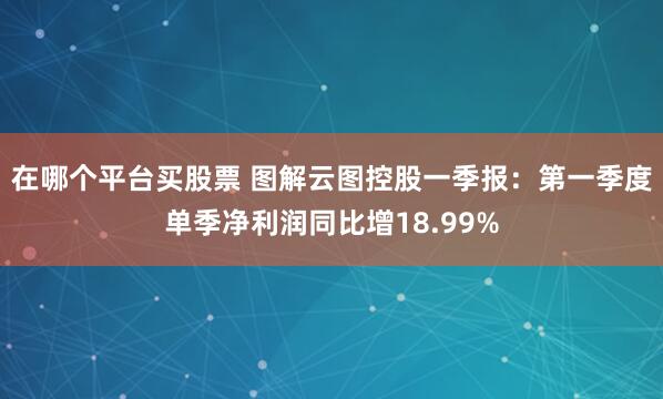 在哪个平台买股票 图解云图控股一季报：第一季度单季净利润同比增18.99%