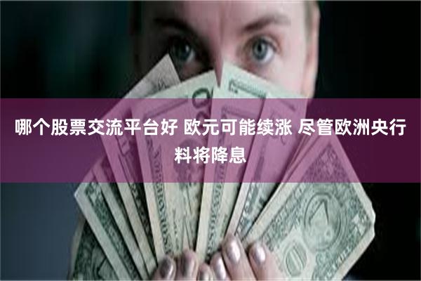 哪个股票交流平台好 欧元可能续涨 尽管欧洲央行料将降息